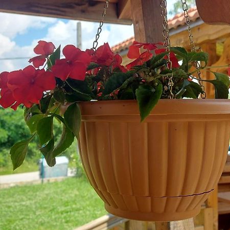 Mini Complex Rilski Terasi Saparewa Banja Zewnętrze zdjęcie