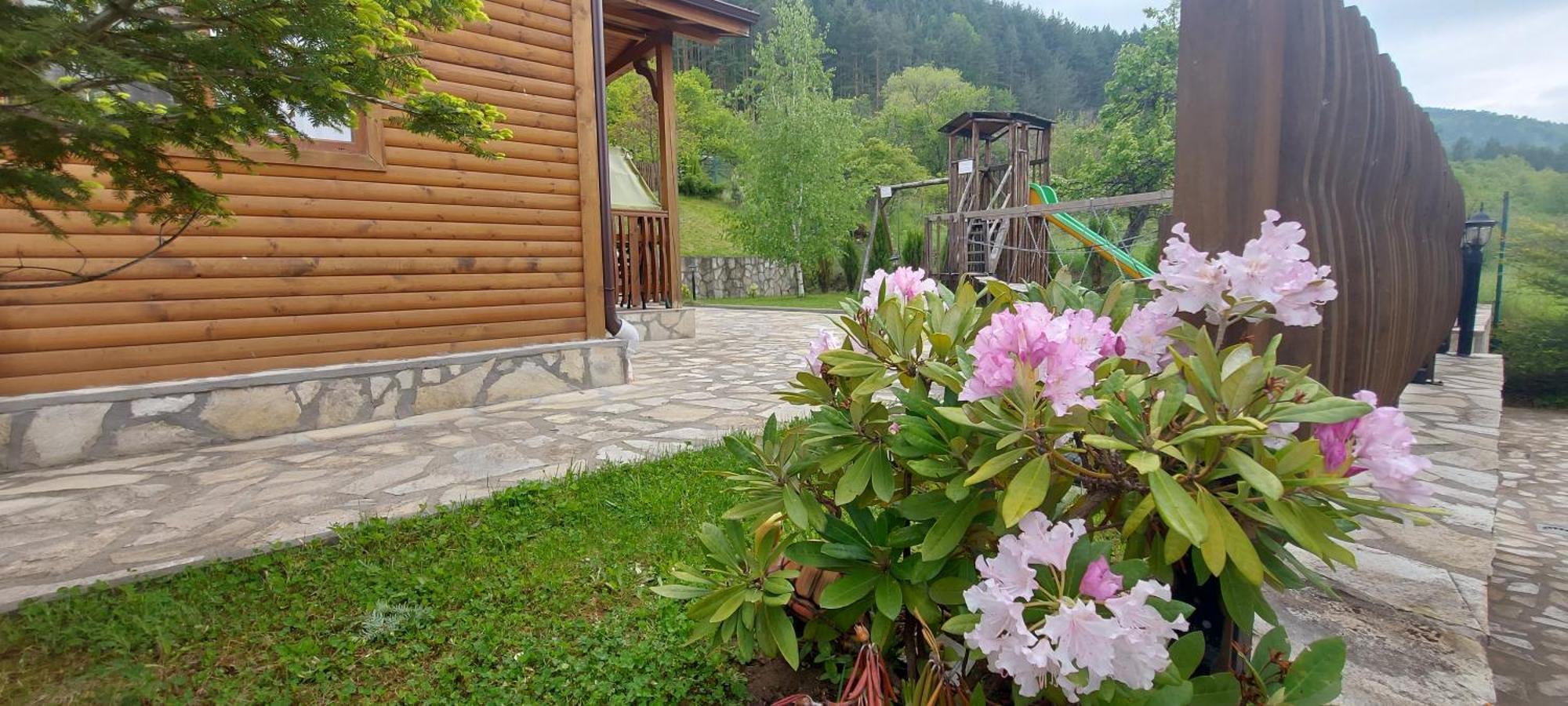 Mini Complex Rilski Terasi Saparewa Banja Zewnętrze zdjęcie