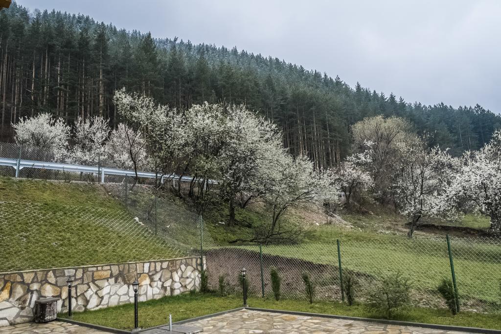 Mini Complex Rilski Terasi Saparewa Banja Zewnętrze zdjęcie